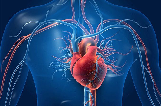 Understanding the Risk Factors of Heart Disease: What You Need to Know